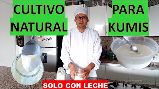 COMO HACER FERMENTO LÁCTICO NATURAL PARA KUMIS CLABBER [upl. by Eoz938]