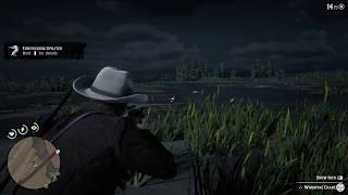 Red Dead Redemption 2  Whooping Crane Location and How to hunt a Perfect Crane Carcass and Feather [upl. by Doy]