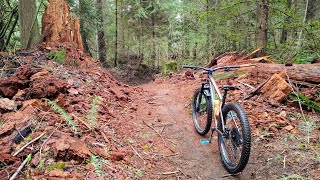 2020 Santa Cruz Chameleon Bike ✓ amp Shred Modded Hardtail MTB [upl. by Laemaj928]