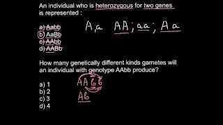 Heterozygosity Homozygosity problem and solution [upl. by Lletnahs]