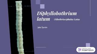 Diphyllobothrium Latum [upl. by Annohsak508]