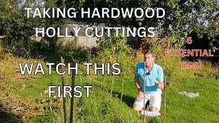 HARDWOOD HOLLY CUTTINGS SIX THINGS I LEARNED [upl. by Retsel486]