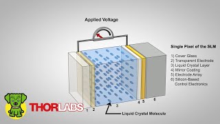 Polarization Dependence of PhaseOnly Spatial Light Modulators SLM  Thorlabs Insights Topic Focus [upl. by Amorete]