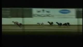 IGB  Greyhound amp Petworld Golden Muzzle A1 55 Round 1 Heat 2 18052019 Race 11  Limerick [upl. by Nylle]