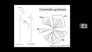 Convergent evolution of bacterial ceramide synthesis  11th May 2022 [upl. by Crutcher620]