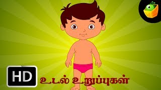 Udal Uruppugal Kadavul Namakku  Chellame Chellam  Tamil Rhymes For Chutties [upl. by Sinnej]