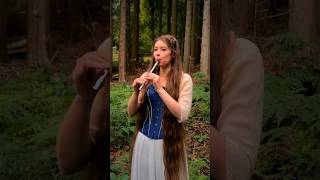 ‘The Lilting Banshee’  a traditional Irish jig ☘️🎶 tinwhistle shorts [upl. by Joaquin]