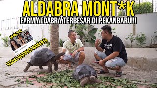 FASILITAS PEMELIHARAAN YANG LUAR BIASA GREBEK ALDABRA SELEBGRAMTERBESAR DI PEKANBARU [upl. by Attwood]