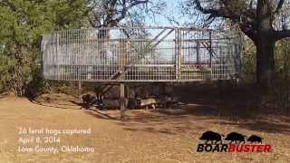 How to Build a GuillotineStyle Trap Door for Wild Pigs [upl. by Cappella]