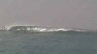 Galapagos Surf Video [upl. by Bedad279]