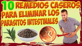 Elimina los Parasitos y Lombrices Intestinales con estos 10 remedios caseros [upl. by Airetal]