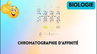 chromatographie daffinité biologie [upl. by Capwell160]