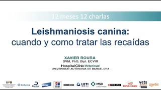 12 meses 12 charlas Leishmaniosis  cómo y cuándo tratar las recaídas Dr Xavier Roura [upl. by Nohtanhoj]