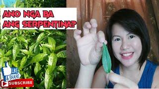 ANO NGA BA ANG SERPENTINA  LISSAS CHANNEL [upl. by Samanthia946]