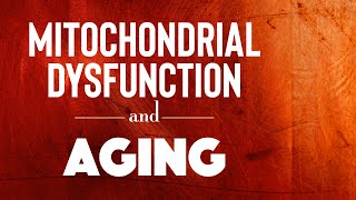 MITOCHONDRIAL HEALTH AND LONGEVITY  The Impact of Mitochondrial Dysfunction on Aging 2020 [upl. by Nyluqcaj]