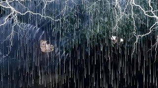 Relax amp Sleep with Powerful Thunderstorm Rain ⚡Hurricane Rain Thunder amp Wind Sounds [upl. by Eignav397]