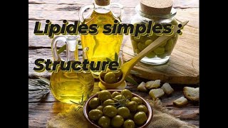 LIPIDES SIMPLE  STRUCTURE [upl. by Tewell326]