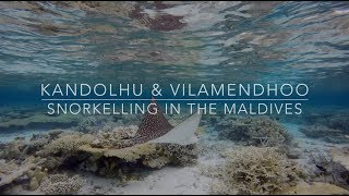 Snorkelling in the Maldives  Kandolhu amp Vilamendhoo  2016 [upl. by Hsirrehc401]