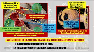 ALL ABOUT CAVITATION PUMP [upl. by Bourgeois718]