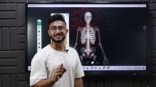 Lecture3  Appendicular Skeleton  Support in Human Biology  شرح بايولوجي لغات  ثانويه عامه [upl. by Vernen]