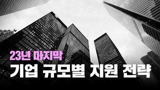 23년 마지막 기업 규모별 지원 전략  24년 취업 전략까지 [upl. by Nnodnarb]