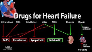 Pharmacology Drugs for Heart Failure Animation [upl. by Lee]