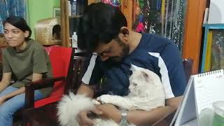 Dr Sagirs Pet Clinic  ডাঃ সাগীরস পেট ক্লিনিক ঢাকা II Dr Sagirs Pet Clinic 01912251312 [upl. by Jeffie]