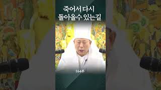 죽어서 다시 돌아올 수 있는길 용화미륵부처님 법문 164부 숕 용화미륵부처님 koreanbuddhism 인생조언 [upl. by Leasa317]