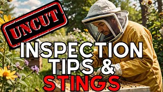 Inspecting Beehives Setup Tools Tips amp Tricks AND STINGS [upl. by Gelya]