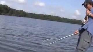 Fly Fishing for Tarpon in Carambola Venezuela [upl. by Tiana]