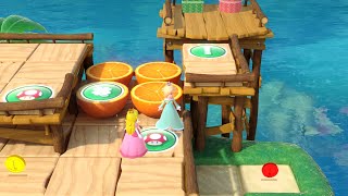 Super Mario Party Partner Party 2387 Watermelon Walkabout Rosalina amp Shy Guy vs Monty Mole amp Hammer [upl. by Nnaycnan]