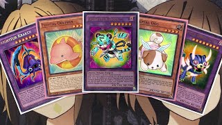 My Fluffal Yugioh Deck Profile for March 2024 [upl. by Chute49]