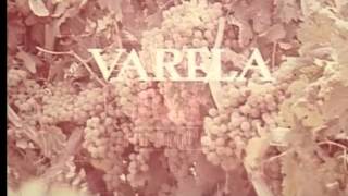 Varela Cream Sherry  Film 31943 [upl. by Nodrog]