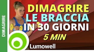 5 Minuti di Esercizi per Dimagrire le Braccia in un Mese [upl. by Eiramanel345]