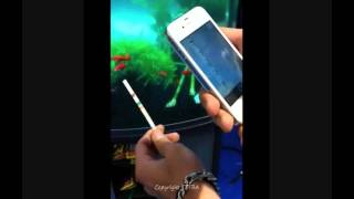 Tutoriel Application Tetra Aquatics [upl. by Blithe9]