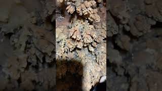 Beautiful Features In Demolition Ranch Cave [upl. by Llevad]