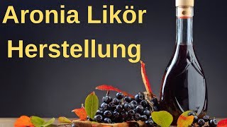 ⭐⭐ Aronia Likör selber herstellen  schnelles Aronia Likör Rezept ⭐⭐ [upl. by Malaspina]