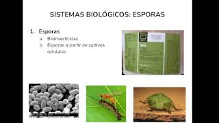 1 5 3 Sistemas Biologicos [upl. by Kerwinn]