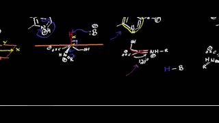 Biochemistry  Serine Racemase Mechanism and Intuition [upl. by Manuel]