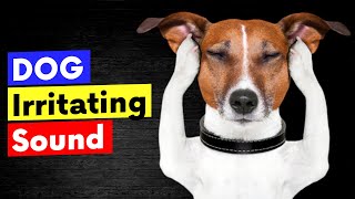 Dog Irritating Sound  Sounds that Dogs Hate to Hear [upl. by Max]