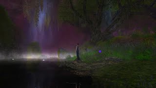 Lush Forbidden Night Woods Misty River  Atmospheric Music amp Cricket Nature Sounds  LOTRO Fishing [upl. by Ailecnarf618]