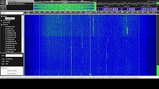 VIDEOGATE  27385 mhz 38 LSB WORLD RADIO [upl. by Duquette]