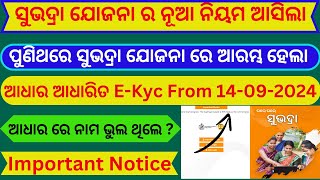 Subhadra yojana EKyc Verification Start I Subhadra Yojana Status Check Online I [upl. by Wawro]