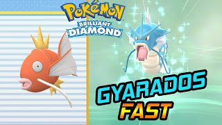 How To Get Gyarados Fast Pokemon Brilliant Diamond [upl. by Spear]