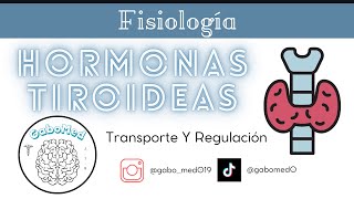 Fisiología Endocrina  Hormonas Tiroideas Transporte Y Regulación [upl. by Townshend459]