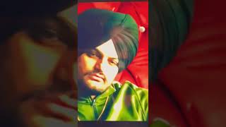 Dark love sidhu moosewala viral trend punjabimusic punjabisong punjabistatus youtubeshorts [upl. by Noreht702]