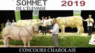 Concours Charolais au sommet de lElevage [upl. by Wons]