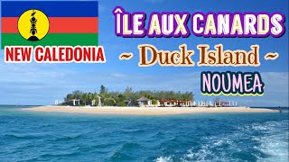 🇳🇨 île aux Canards  Duck Island  Noumea New Caledonia South Pacific [upl. by Eltsyrc]