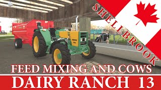 Shellbrook dairy 13  Just playing  Learn How to Feed Cows  Farming Simulator 22  FS22 [upl. by Nilram506]