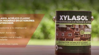 Xylasol Acrilico Classic [upl. by Einatsed]